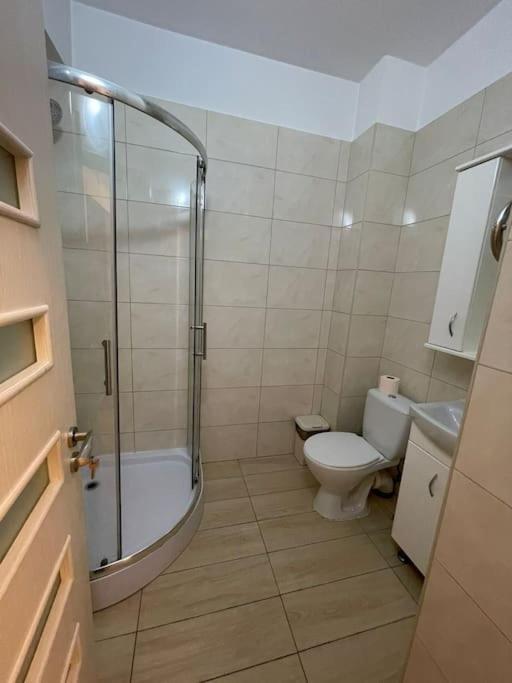 Apartment студия новый дом на василе лупу
