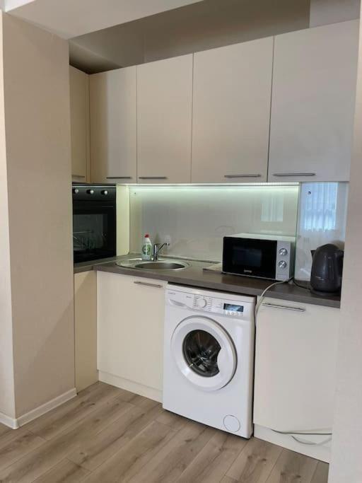 студия новый дом на василе лупу Apartment