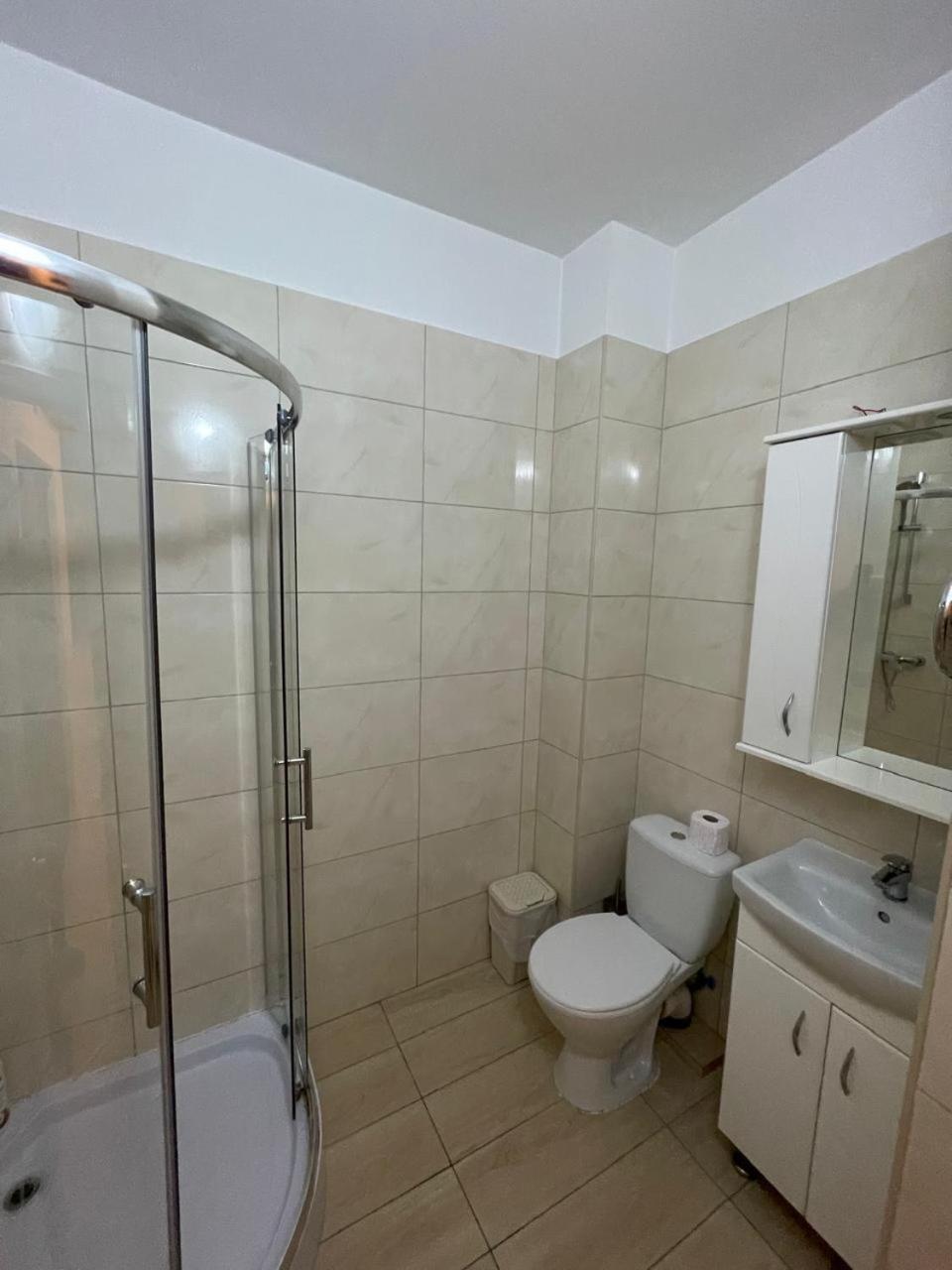 студия новый дом на василе лупу Apartment